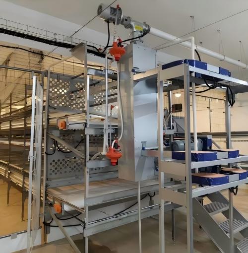 Welfare chicken cages aligned with European animal welfare trends, equipped with fully automatic feeding, drinking, egg collection, manure removal and intelligent environmental control, providing one-stop service from poultry house design to installation and commissioning.