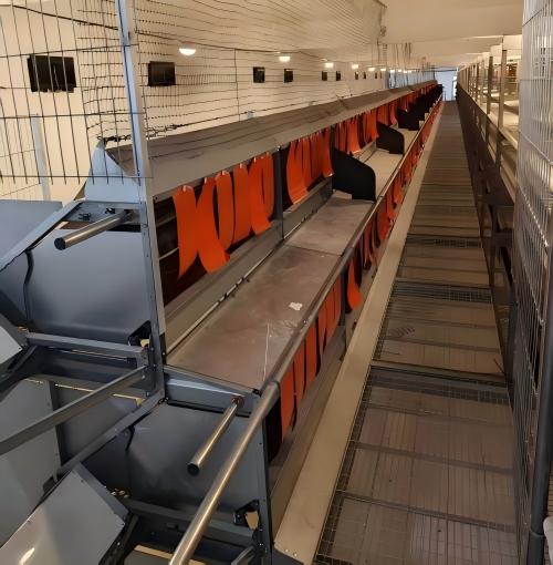 Worried about being phased out by animal welfare standards? A European welfare chicken cage system has you covered.