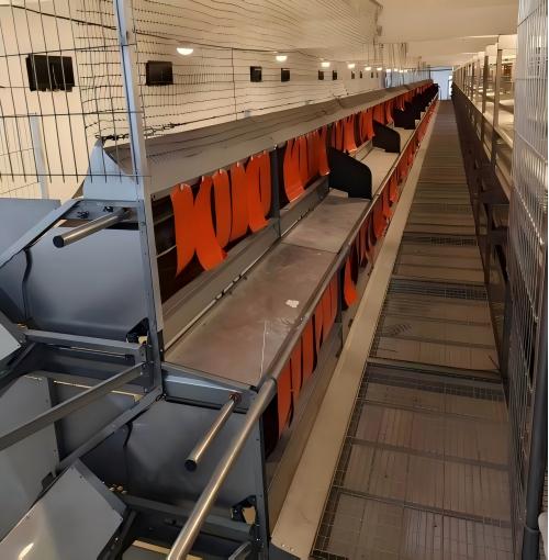 Developed in line with EU layer standards and the global shift toward cage-free eggs, it supports open houses, free-range and barn systems, seamlessly connecting you to premium European and international higher-welfare egg markets.