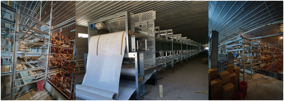 One-stop EU-compliant animal welfare chicken cages and fully automated facility solutions, making it easy for you to expand in the global cage-free egg market. From caged to cage-free: Providing a complete range of EU animal welfare chicken cages and fully automated equipment. Open welfare cage solutions for Europe and worldwide, focused on premium cage-free egg production.