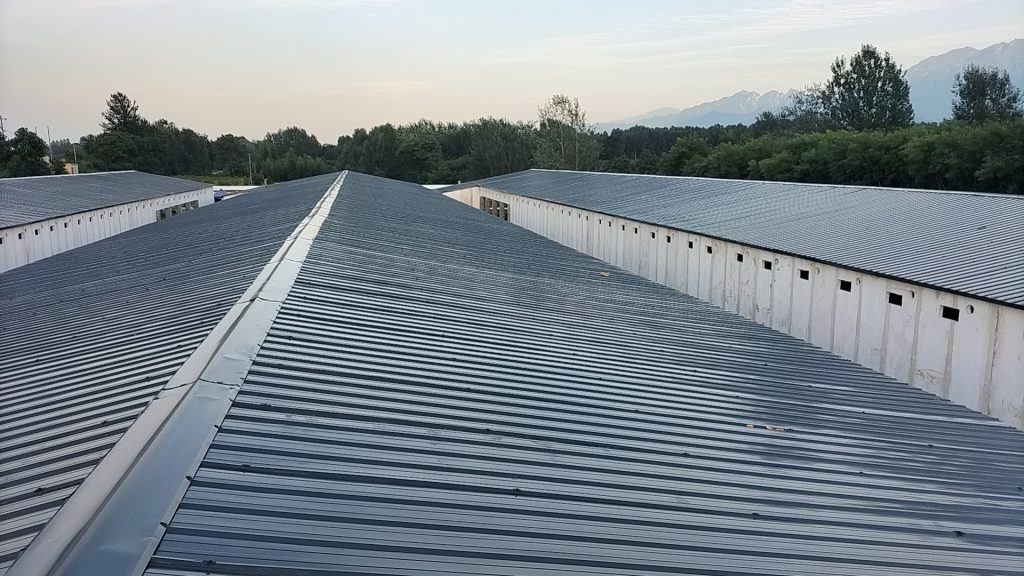 Undertaking global steel-structure poultry house and factory building construction projects at competitive prices.